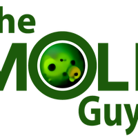 MoldGuys